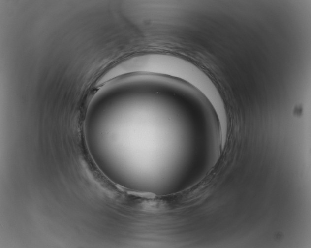 X0000116810415200912181349
