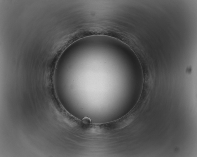 X0000116810416200912181349
