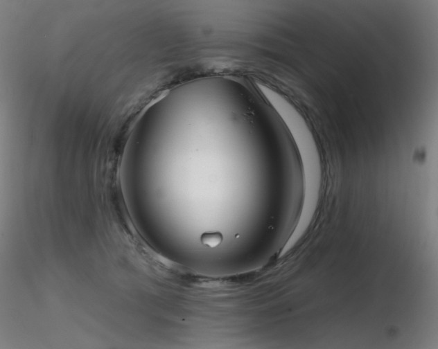 X0000116810417200912181349