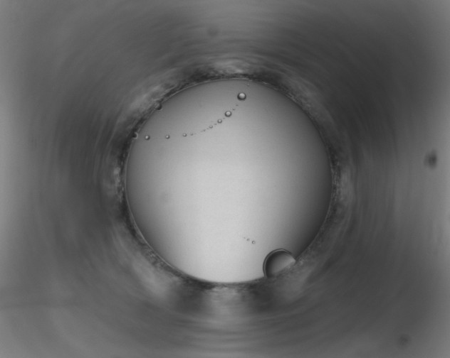 X0000116810418200912181349