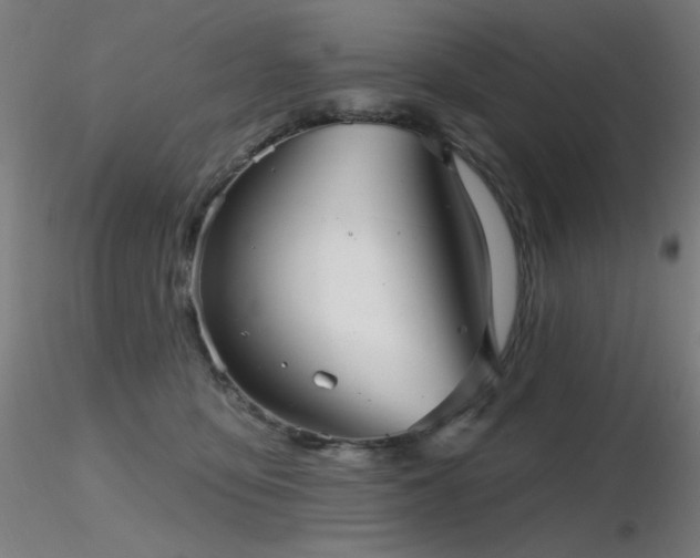 X0000116810419200912181349