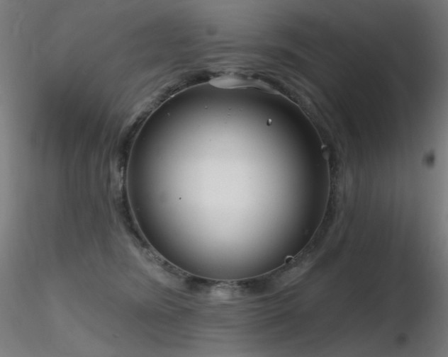 X0000116810420200912181349