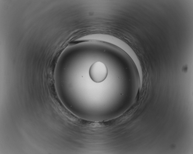 X0000116810421200912181349