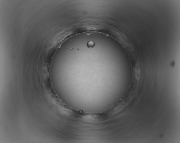 X0000116810422200912181349