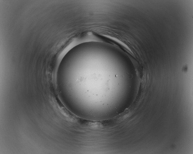X0000116810424200912181349