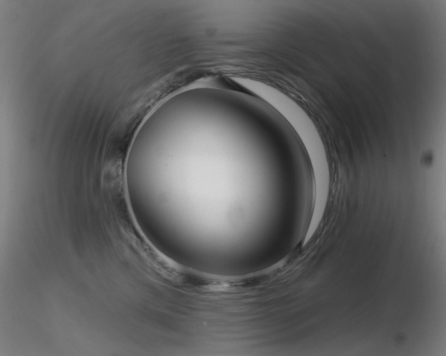X0000116810425200912181349