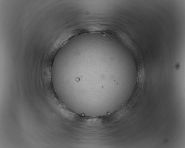 X0000116810426200912181349