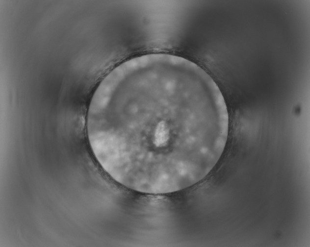 X0000116810427200912181349