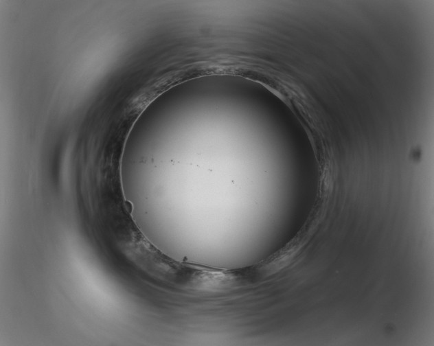 X0000116810429200912181349