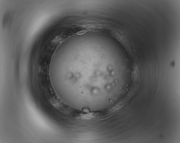 X0000116810430200912181349