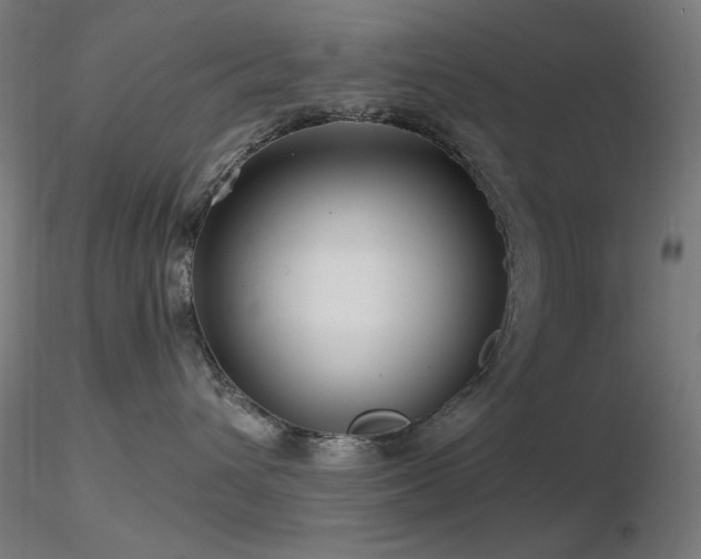 X0000116810432200912181349