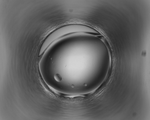 X0000116810433200912181348