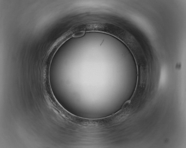 X0000116810435200912181348