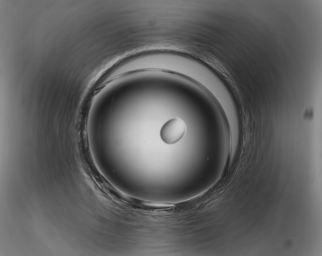 X0000116810436200912181348