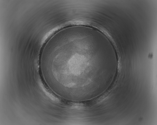 X0000116810438200912181348