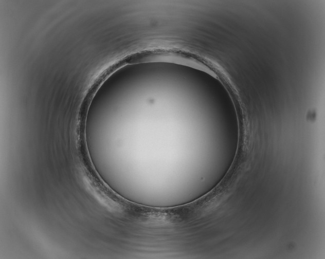 X0000116810439200912181348