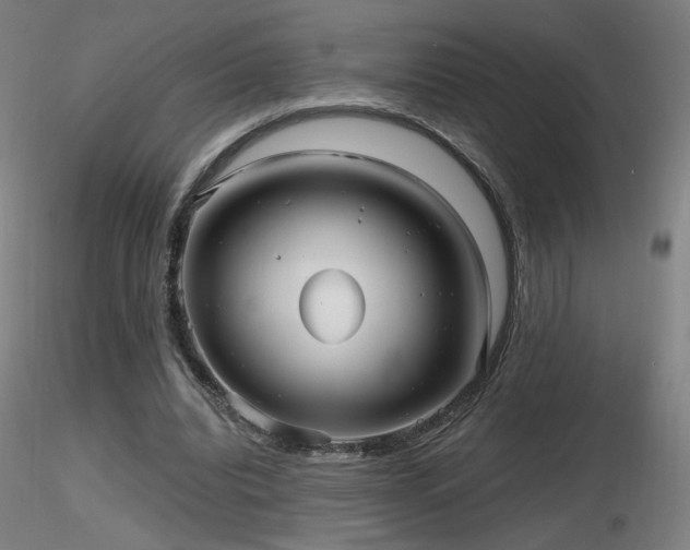 X0000116810440200912181348