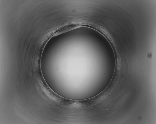 X0000116810441200912181348
