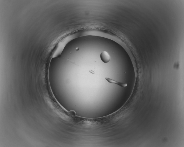 X0000116810442200912181348