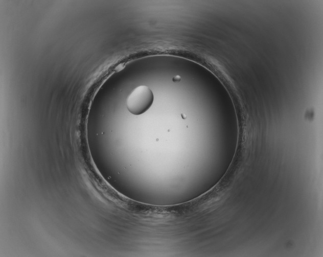 X0000116810443200912181348