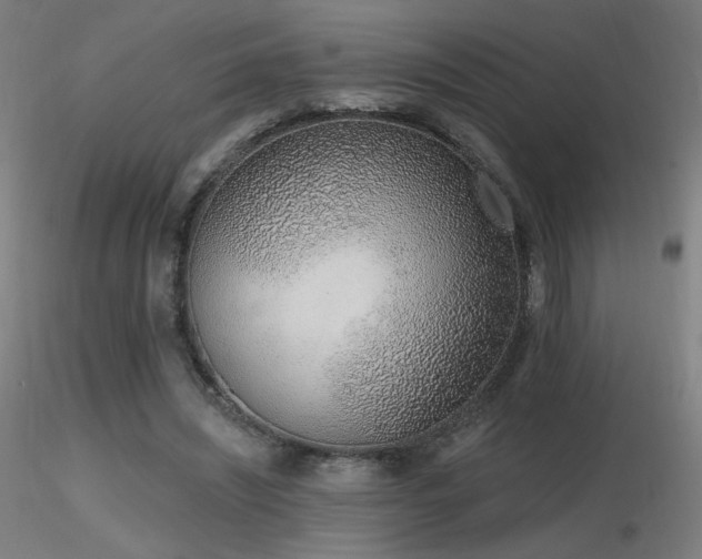 X0000116810444200912181348