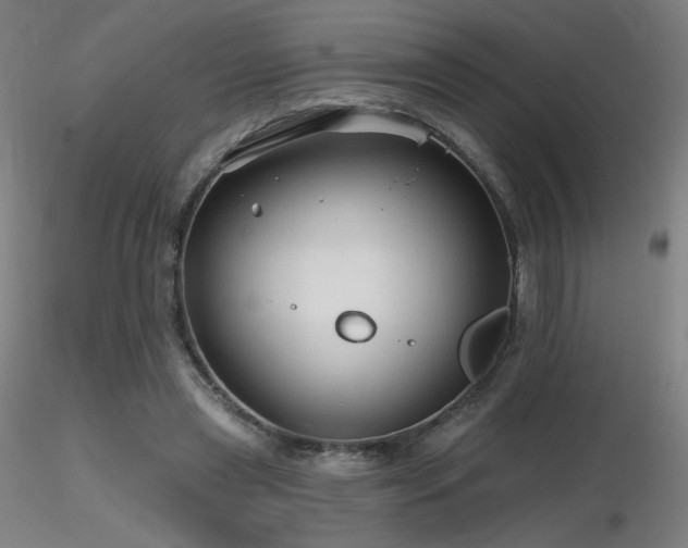 X0000116810445200912181348