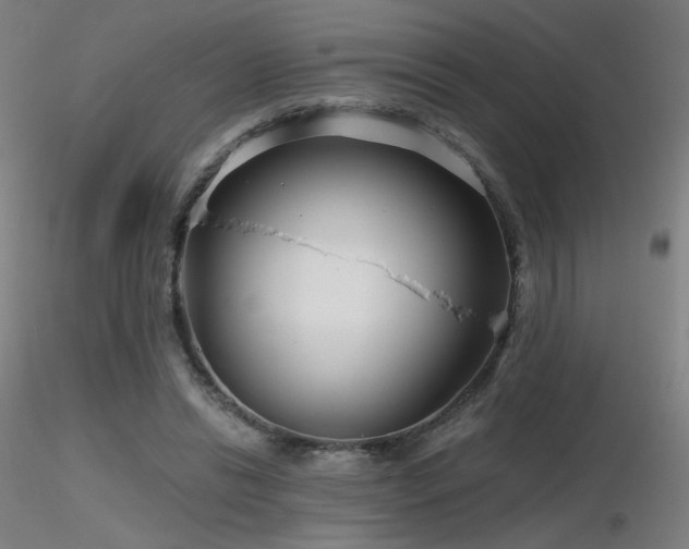 X0000116810446200912181348