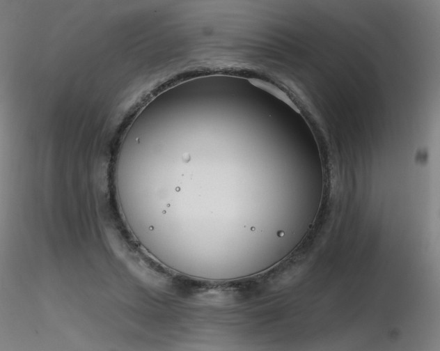 X0000116810447200912181348