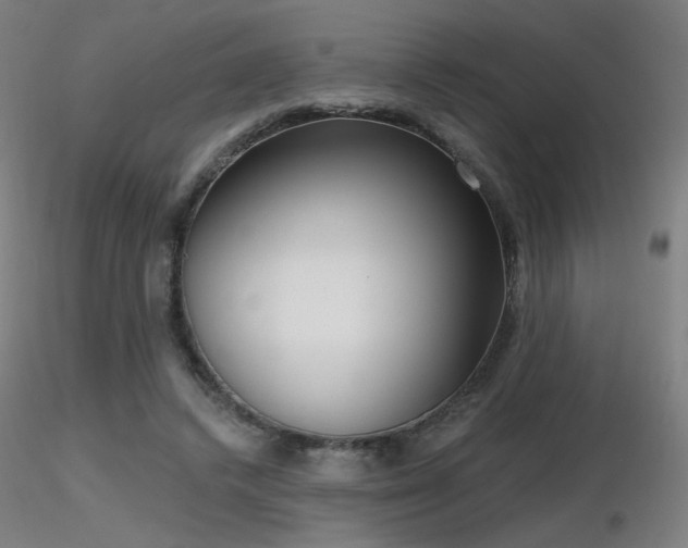 X0000116810448200912181348