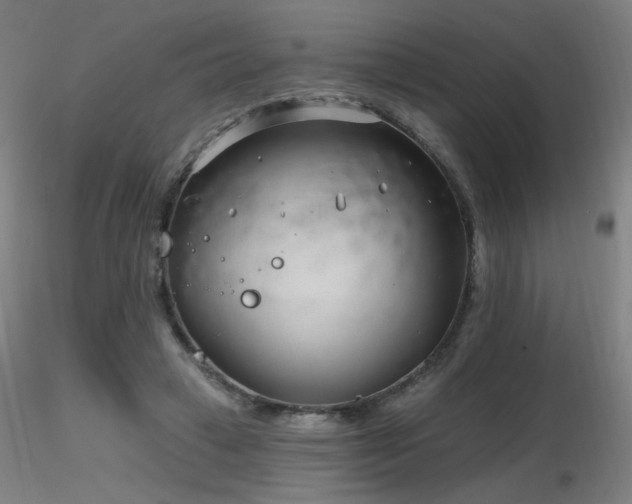 X0000116810449200912181348