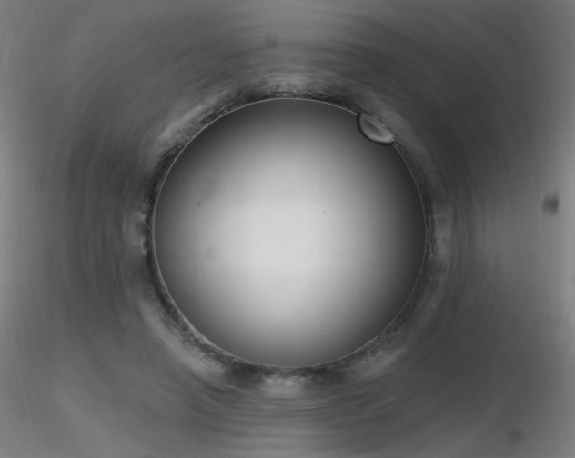 X0000116810450200912181348