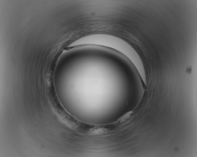 X0000116810452200912181348