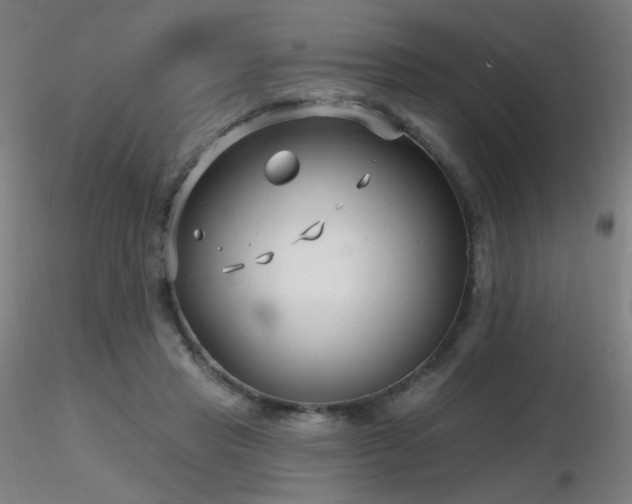 X0000116810453200912181348