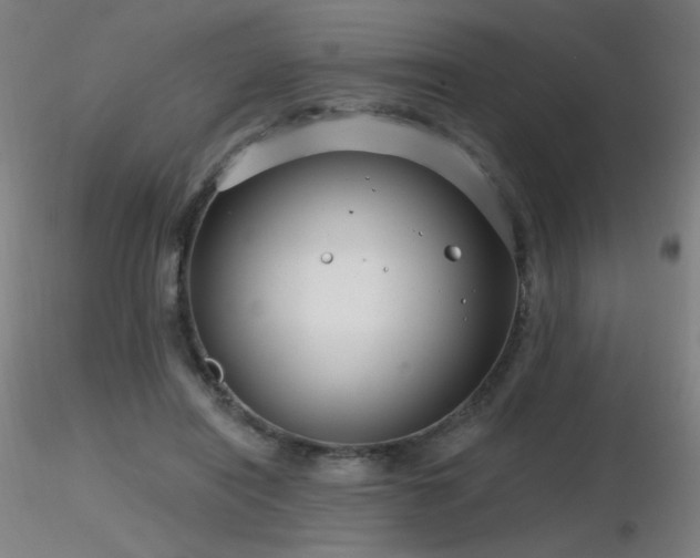 X0000116810454200912181348