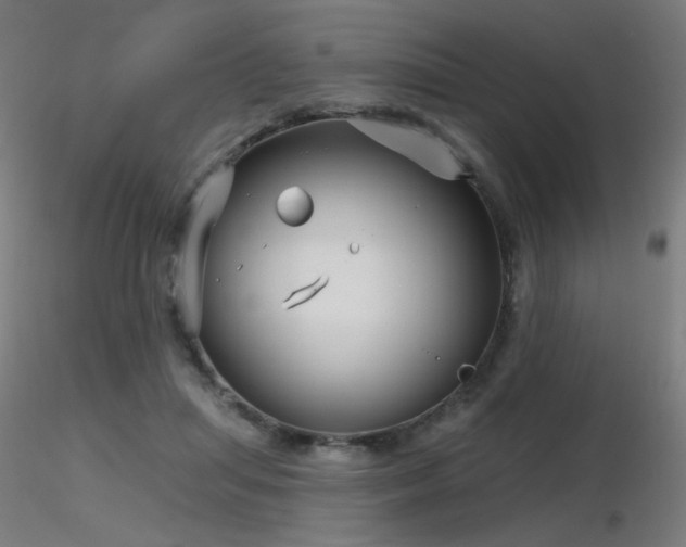 X0000116810455200912181349