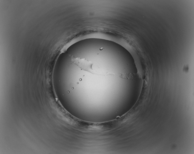 X0000116810457200912181349