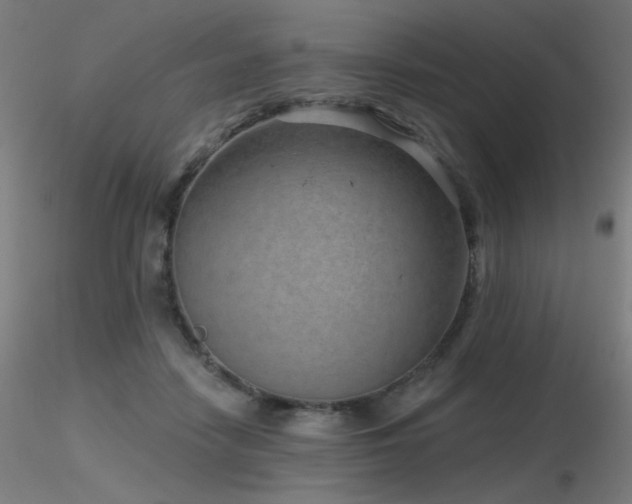 X0000116810458200912181349