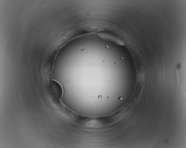 X0000116810460200912181349
