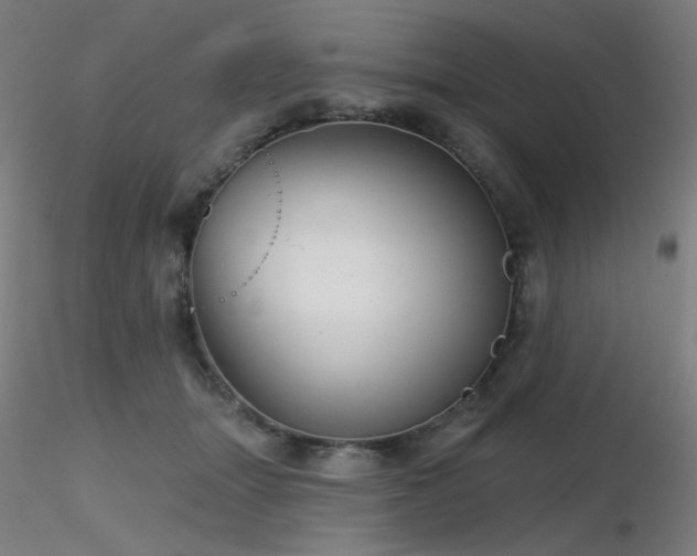X0000116810463200912181349