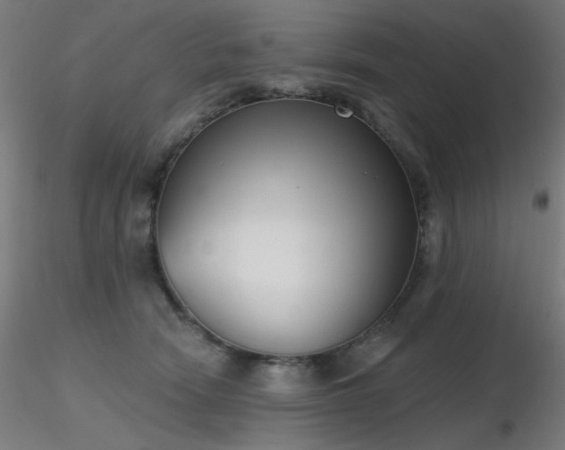 X0000116810466200912181349
