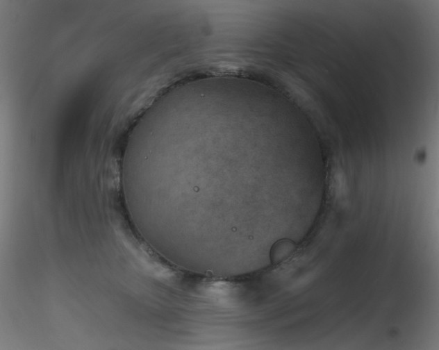 X0000116810467200912181349