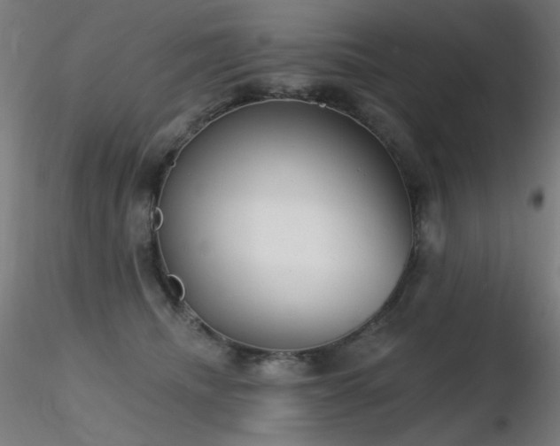 X0000116810468200912181349