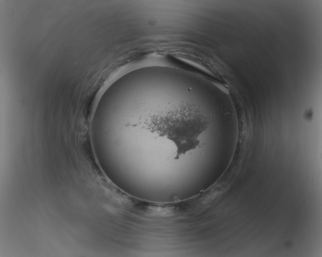 X0000116810469200912181349