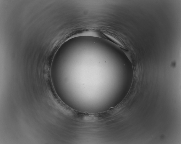 X0000116810470200912181349