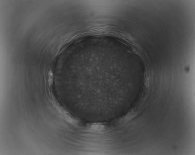 X0000116810471200912181349