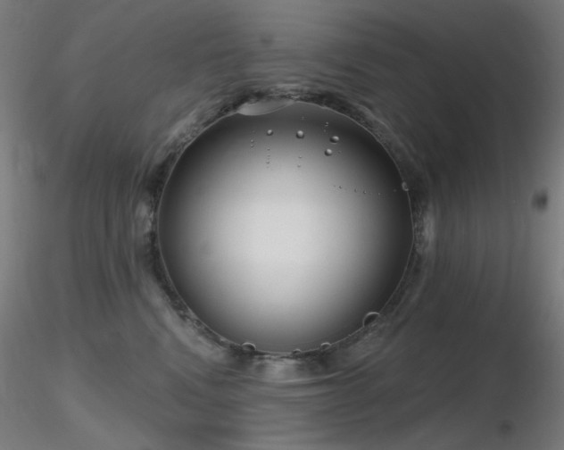 X0000116810472200912181349