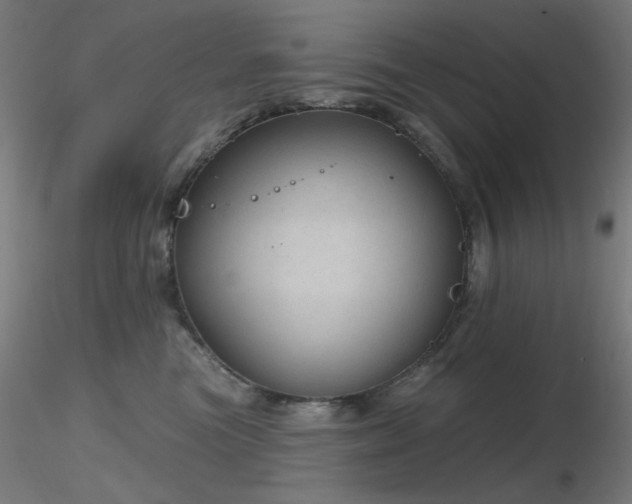 X0000116810473200912181349