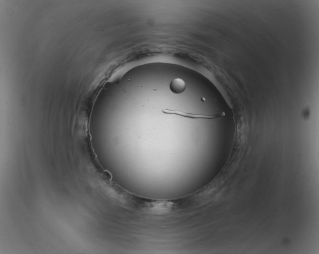 X0000116810474200912181349