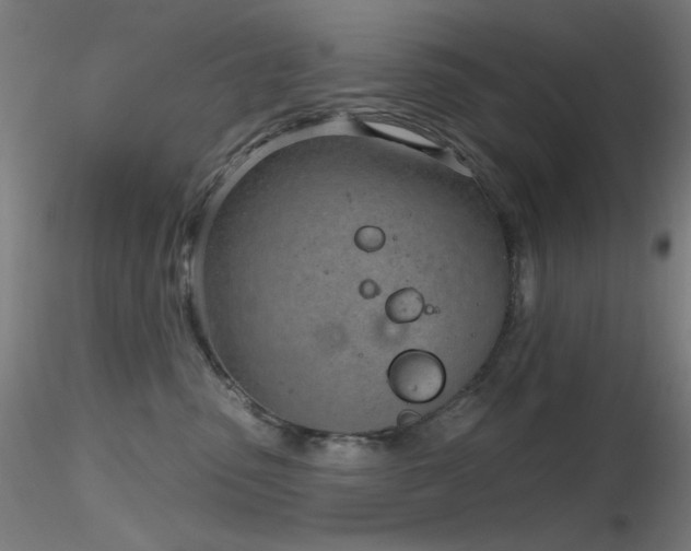 X0000116810475200912181349