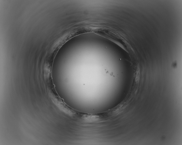 X0000116810476200912181349